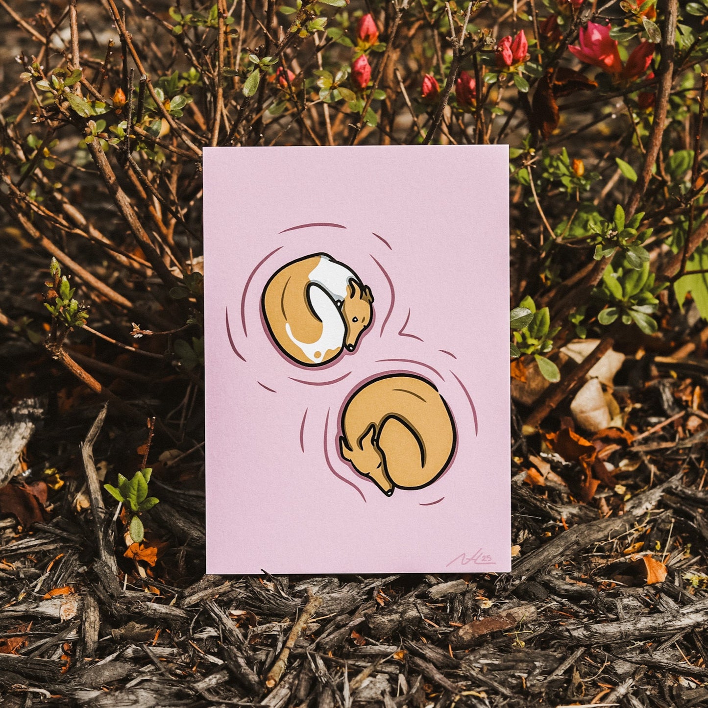 Sleeping Greyhounds Mini Print