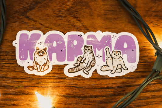 NEW! T. Swift Karma Cat Sticker